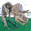 Dinosaur Theme Park Lifelike fossil Dinosaur Skeleton for Sale