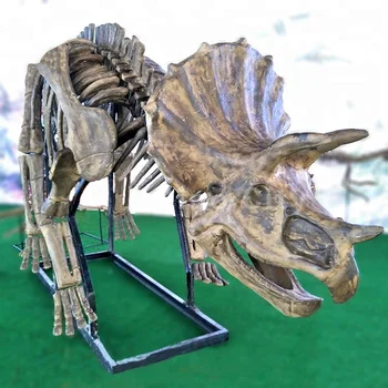 life size dinosaur skeleton for sale