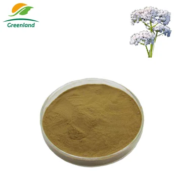 Traditional Chinese Herbal 100% Pure Natural Valerian ...