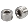 Stainless Steel Hex Socket Pipe Plug For Instrument
