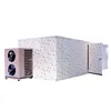 ECO friendly heat pump dryer automatic drier or dryer