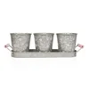 Modern Farmhouse Vintage Galvanized Metal Herb Plant Herb Pot Planter with Tray