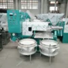 Palm nut oil press machine/hot and cold oil press machine/hemp oil extraction machine cold press