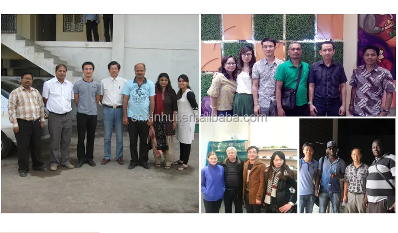 Kualitas Tinggi Komersial Toko Display Freezer Untuk 