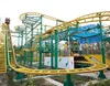 Hot Sale Theme Park Extreme Ride Track Rides Spin Roller Coaster Car
