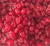 Natural dried red fresh sour cherries , maraschino cherries