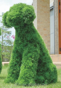 fake topiary