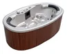 CE hydrotherapy luxury outdoor hot tub with led light/ spa & pool with low price