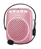 Amazon Top Selling Shidu Rechargeable Tour Guide Speaker with Headset Microphone