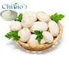 Pure Non-animal Mushroom Chitosan Powder Food Cosmetics Medical Grade