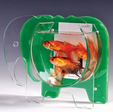 Acrylic fish tank (FT-002).jpg