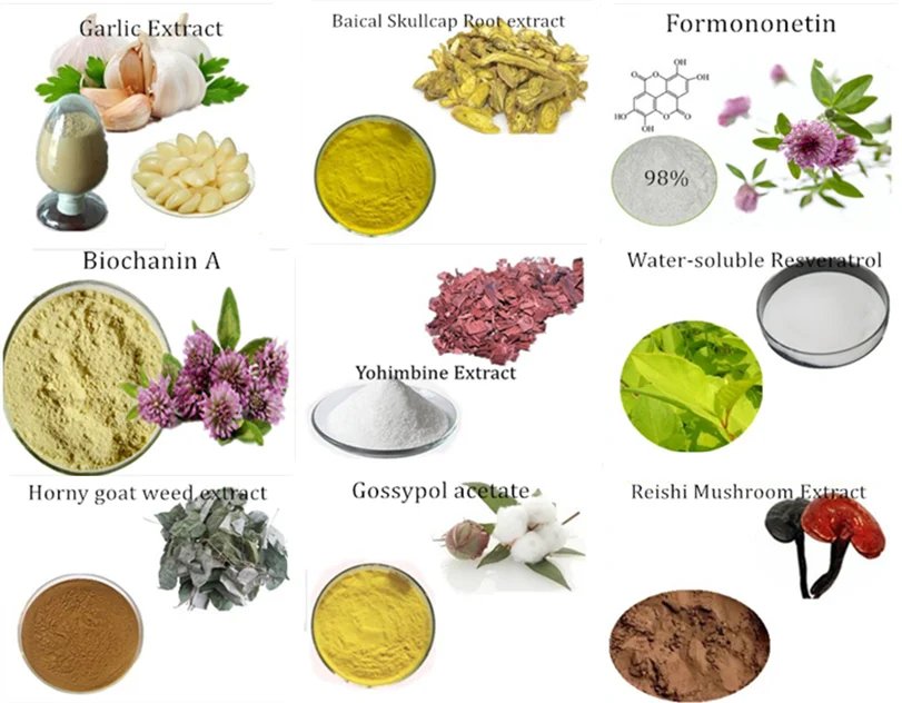 Best Ing Natural Siberian Rhubarb Extract Capsules Chinese Best Ing Natural Siberian Rhubarb Extract Capsules Chinese For Hot Flashes