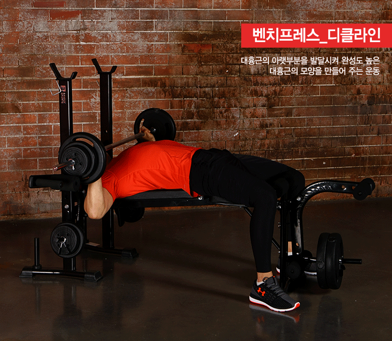 Zyfit Foldable Barbell Weight Bench With Leg Extension Curl Lift