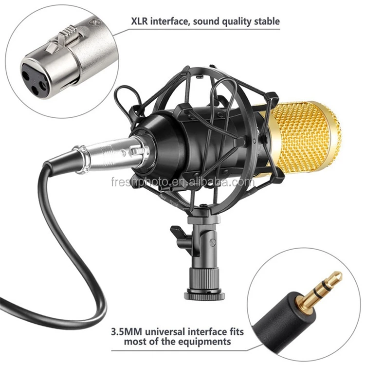 microphone 6.jpg
