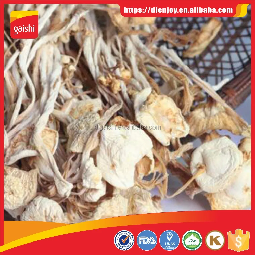 Export Dried Enoki Mushroom At 1kg Price Buy Enoki Mushroom Price