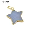 WT-P1448 Wholesale New arrival Natural Stone pendant five-pointed star shape in 18K gold plated blue agate Pendant
