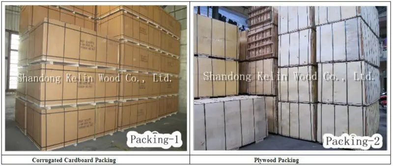 used for furniture plywood doors design