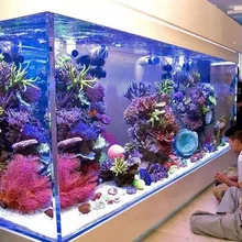 4200 Desain Aquarium Besar Gratis