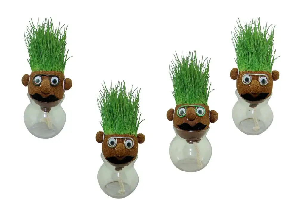 Grass Head Funny Fast Growing Grass Head Learning Toy For Kids Buy