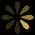 Casino, Gambling, Online Poker, Rummy