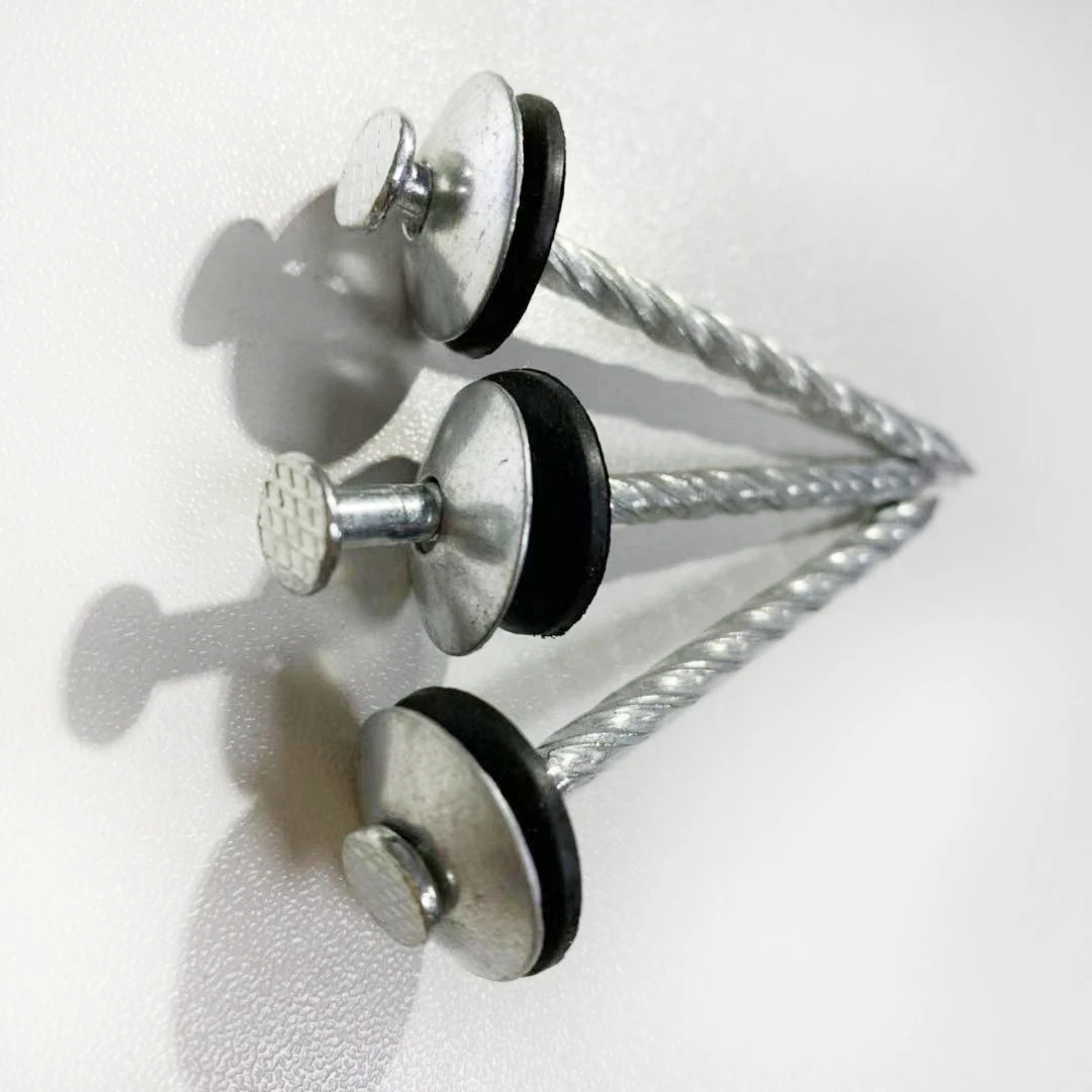 Electro Galvanized Roofing Nail Umbrella Head Zinc Roofing Nail With