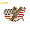 China Manufacturer Custom Made Hard Enamel USA Eagle pin