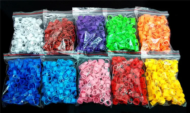 pigeon foot ring (6).jpg