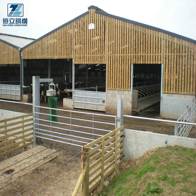 Prefab Steel Structure Farm Cow Shed Building Cattle Shed Buy Cow