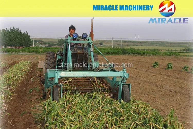 Top Sale Garlic Harvester,Small Harvester Garlic,Fresh Garlic Process