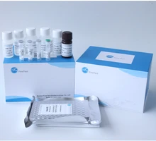 Reaserch use Human EPO(Erythropoietin) ELISA Kit