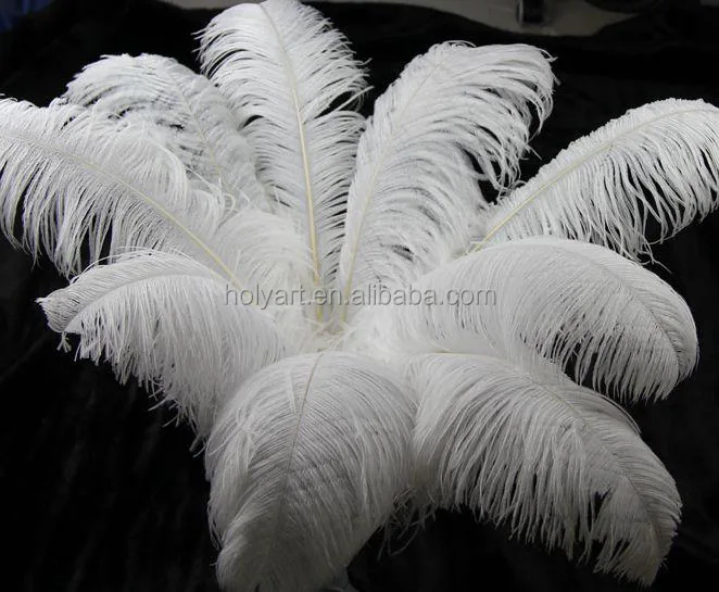 Hot Sale Large White Feathers For Sale