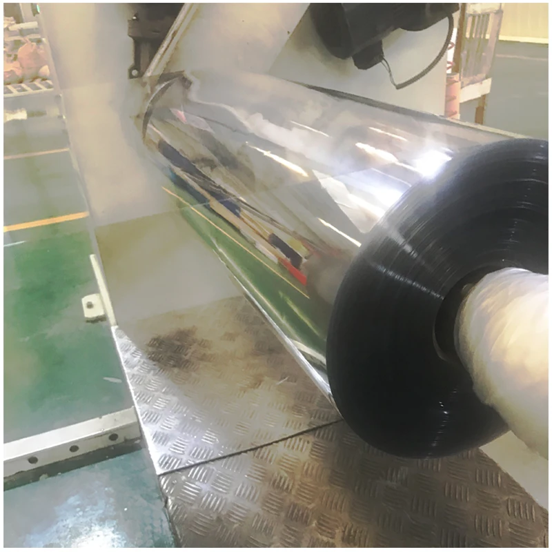 Transparent apet rolls.jpg