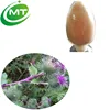 Free sample 10%Arctiin HPLC Burdock Seed Extract