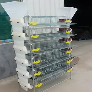 Automatic Design Layer Quail Cages Commercial Quail Layer Cage