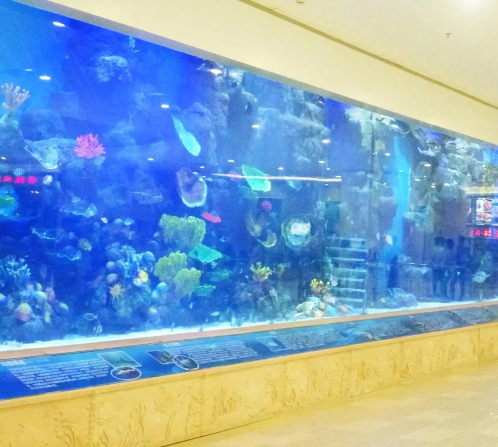 Wholesale Glass Acrylic Panel Aquariums Buy Wholesale Glass Aquariums
