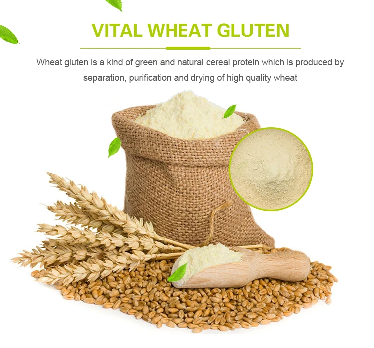 Protein 75 Vital Wheat Gluten Price Buy Vital Wheat Gluten Price