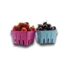 Biodegradarble Recycled paper pulp molded colorful fruit tray