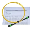 8 12 24 cores singlemode OS2 Multimode OM3 OM4 MTP MPO patch Cable