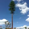 Single Pillar GSM Antenna Mast Artificial Bionic Pine Tree Bark Telecom Mast Tower