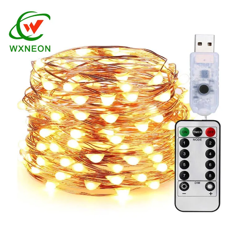 Warm White Fairy Copper Wire String 50m Length With USB Connect