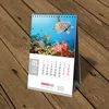 Arrival New Launching Offset Product Sample Brochure Christmas Calender Fancy File Folders