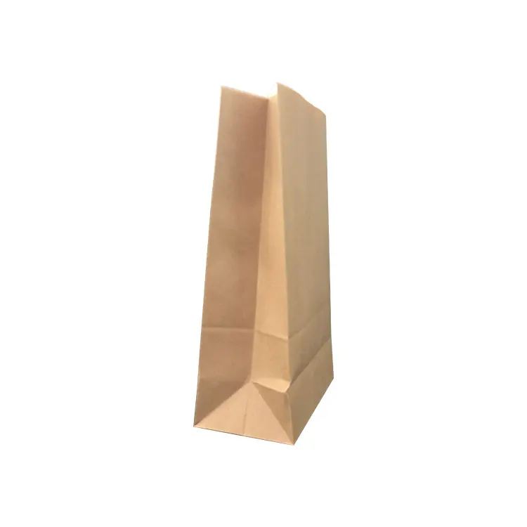 100 Compostable Recycled Durable Brown Kraft Paper Lunch Bags For Snack Takeaway Bread