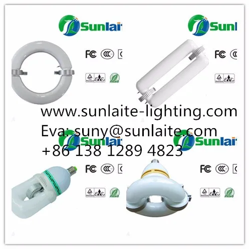 induction light source.jpg