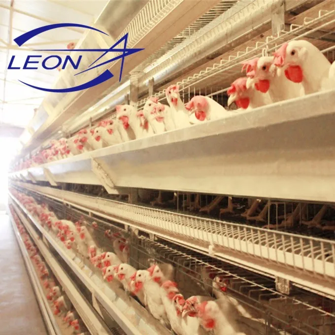 Best Price Complete Automatic Poultry Farm Equipment With Ce