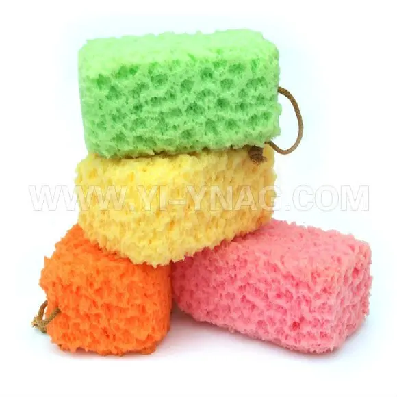 sponge bath sponge