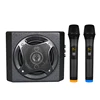 Active karaoke music speaker with microphone