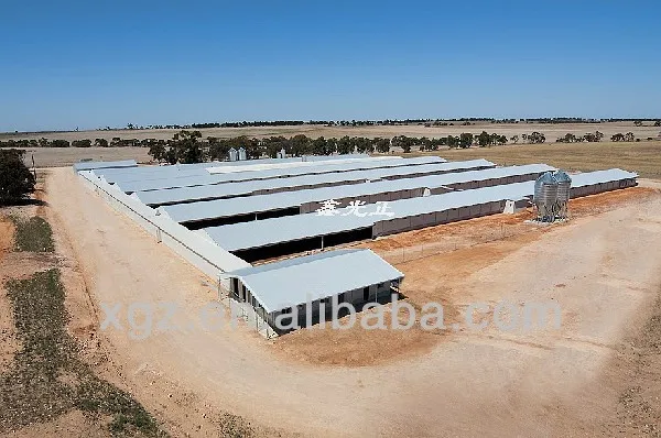 Best Price Automic Chicken Feeding Equipment Prefabricated Broiler House Poultry Shed Design