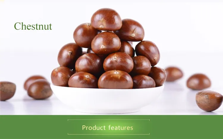New crop chestnut price/Chestnut from China/Wholesale chestnut