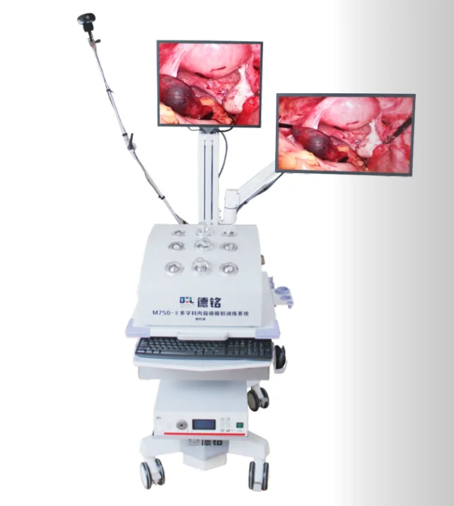 
M750-II Endoscopy Training Simulator 