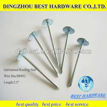 Roofing Nails For Hanging Pictures 